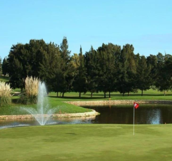 Relax Y Golf